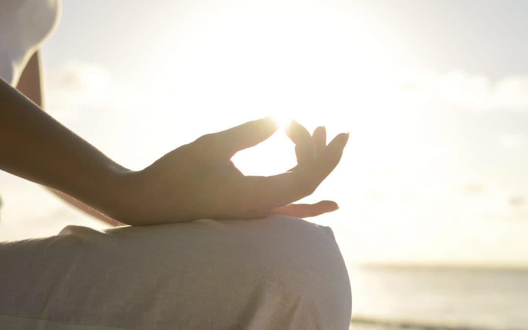 Wellness… on se reconnecte